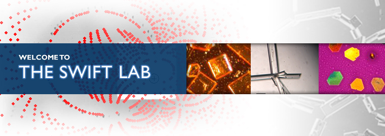 The Swift Lab